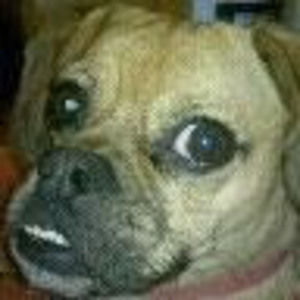 Meet your Posher, Lindsey